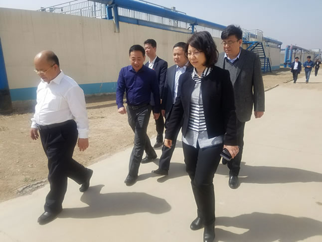 ��ί��(hu��)�I(l��ng)��(d��o)�z��ָ��(d��o)����